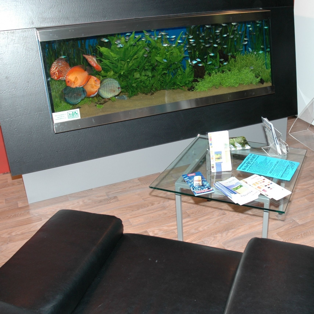 Zierfische & Aquarium 2005