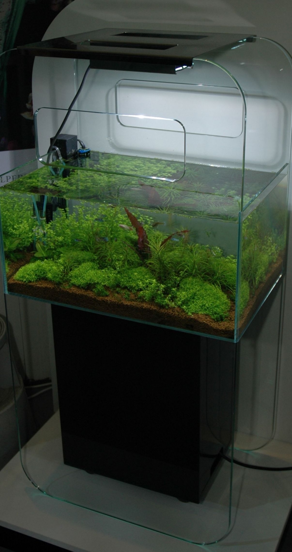 Öppet akvarium