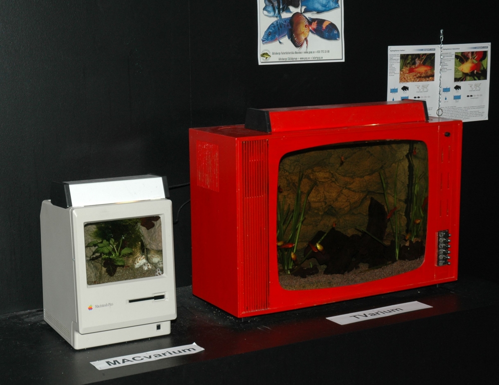 MACvarium + TVarium