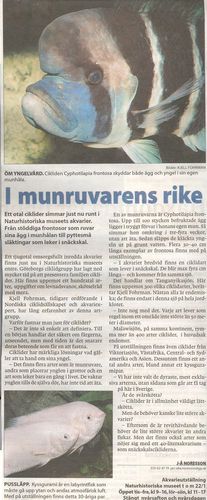 Göteborgs Posten den 27/12 2005